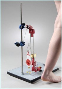 Biomechanical Leg Kit(0650 -12)